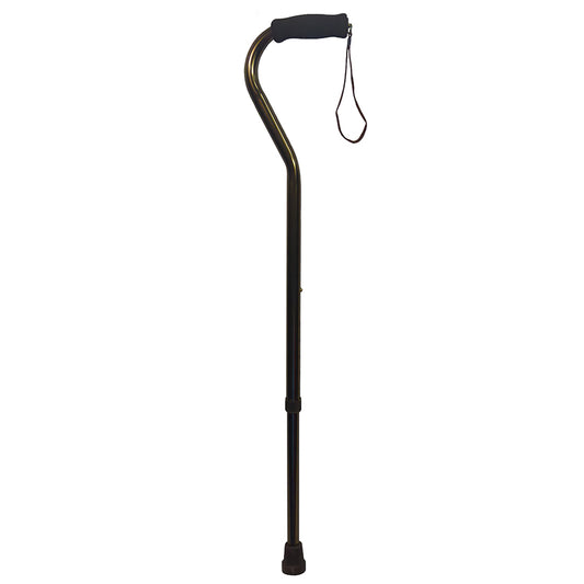 Swan Handle Walking Stick Bronze