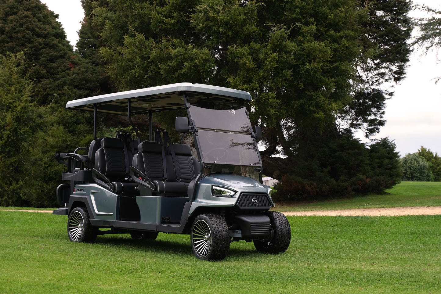 EuroCarts Platinum Edition Golf Cart 6 Seater on Golf Course