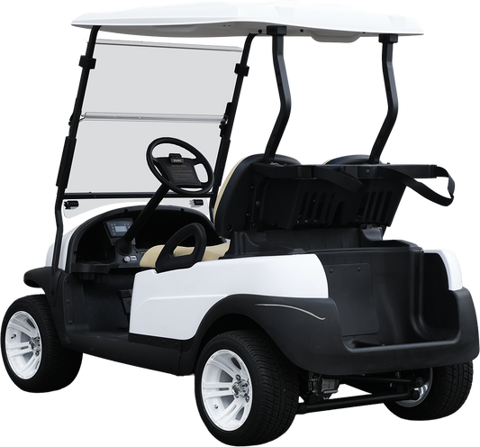 EuroCarts Standard Series Golf Cart Rear