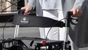 Standard Backrest for rollators