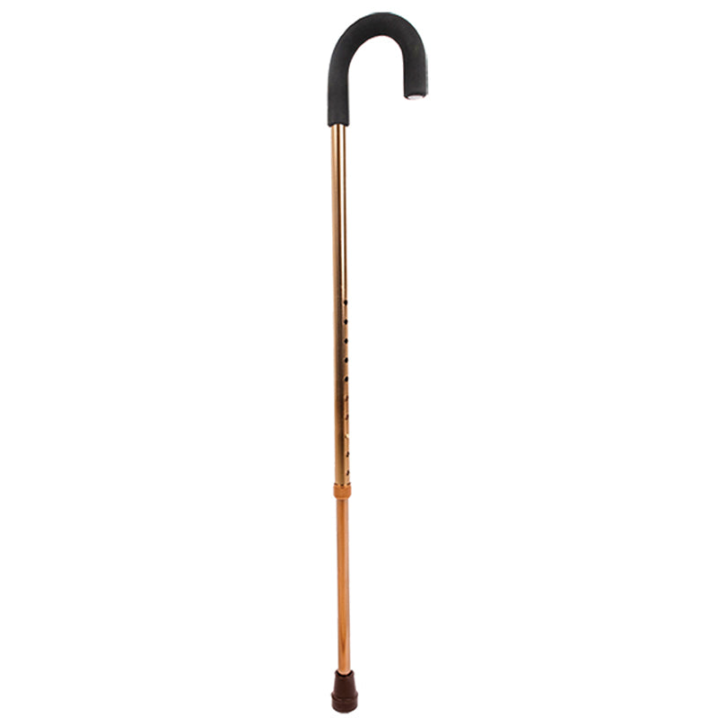 Crook Handle Walking Stick Bronze