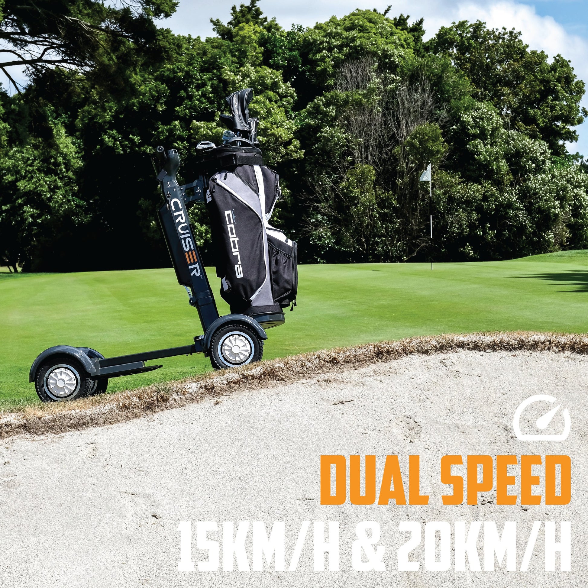 Cruiser VL2000 Golf Cart 