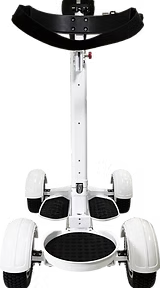 Cruiser VL2000 Golf Cart white back