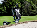 Cruiser VL2000 Golf Cart 
