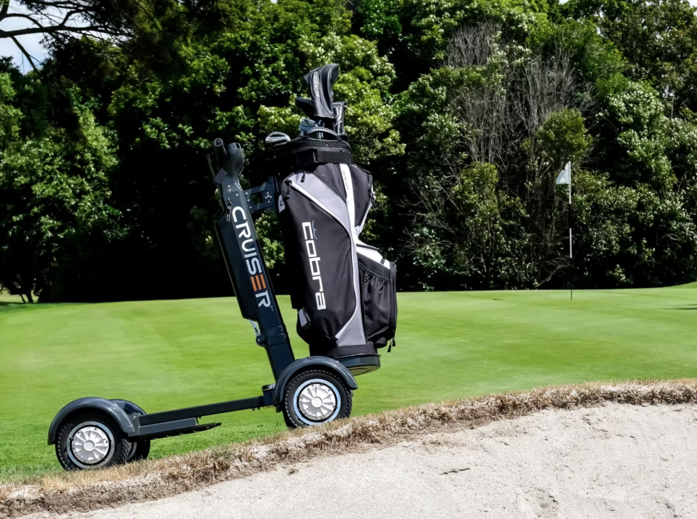 Cruiser VL2000 Golf Cart 