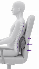 A white ergonomic office chair with a icare Supporta Full Lumbar Roll, shown with a white 3D human torso model demonstrating back posture. Purple arrows point to the lumbar support area.