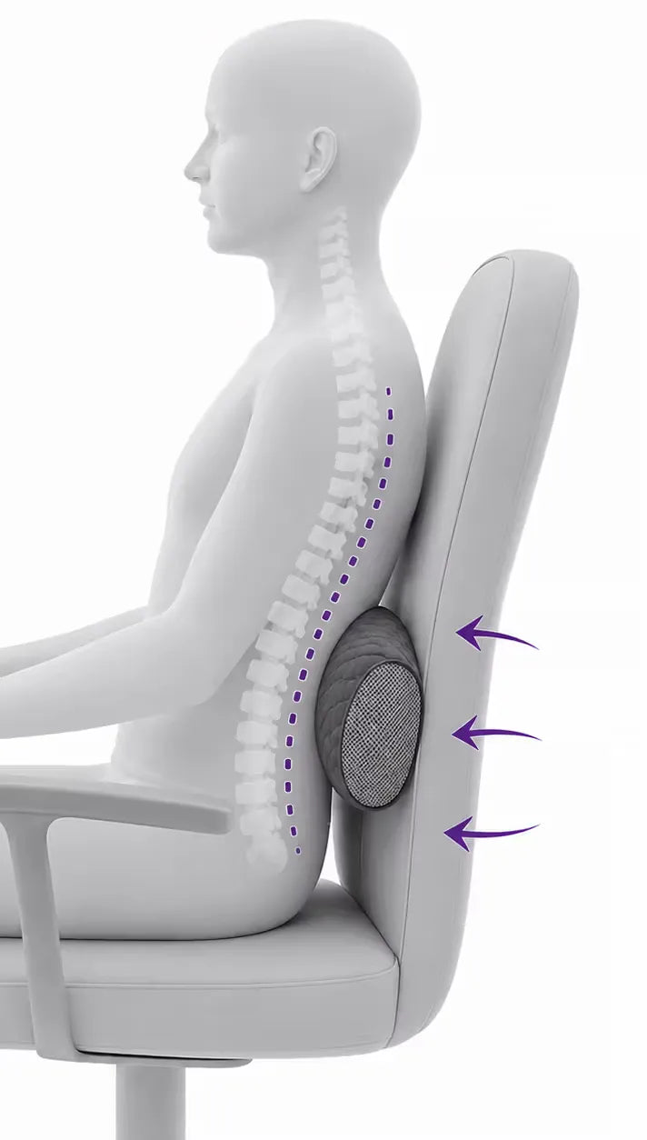 A white ergonomic office chair with a icare Supporta Full Lumbar Roll, shown with a white 3D human torso model demonstrating back posture. Purple arrows point to the lumbar support area.