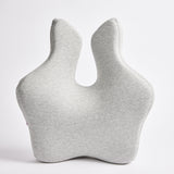 icare Reform Full Back Support ICR2 Front