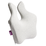 icare Reform Cushion Full Back Support ICR2
