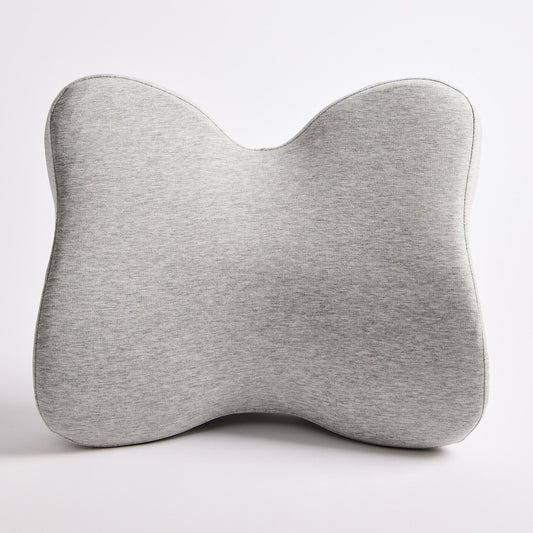 Gray  icare Reform Low Back Support on a white background