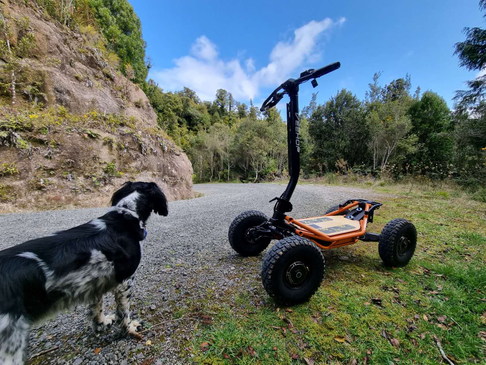 Veehop Electric ATV orange on gravel road with dog