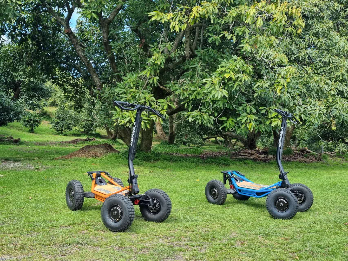 Veehop Electric ATV Blue and Orange in Park