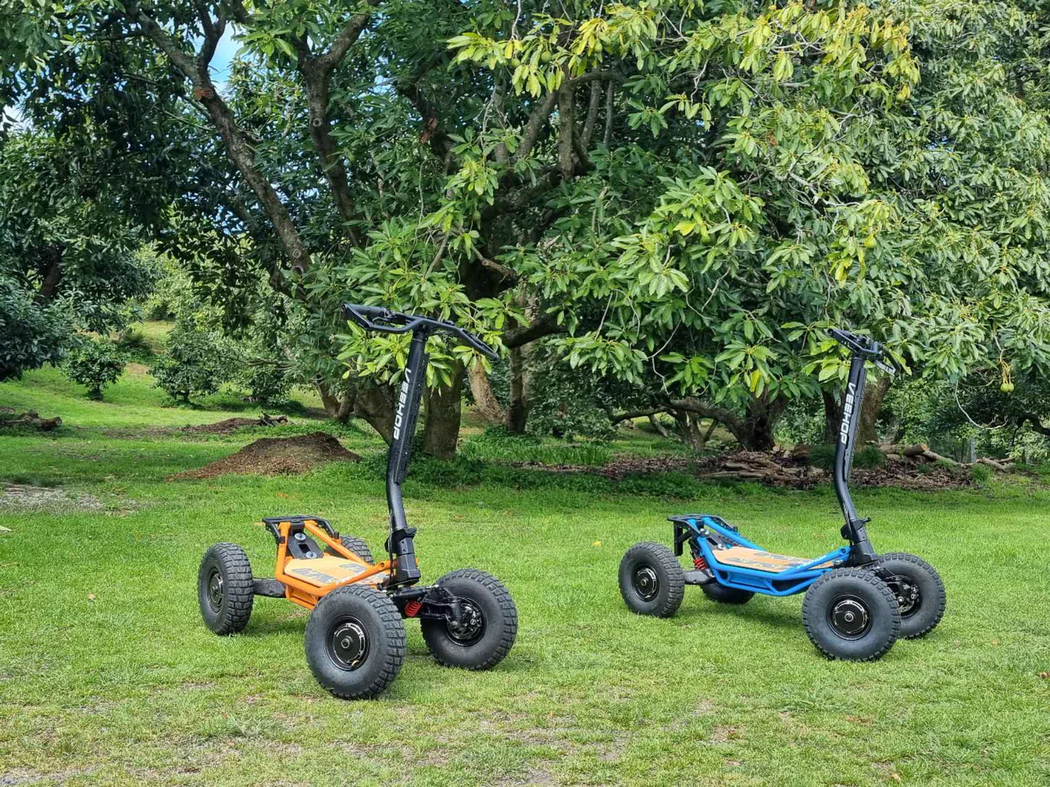 Veehop Electric ATV Blue and Orange in Park