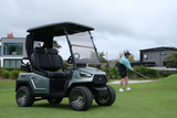 EuroCarts Platinum Edition Golf Cart 2 Seat on Putting Green