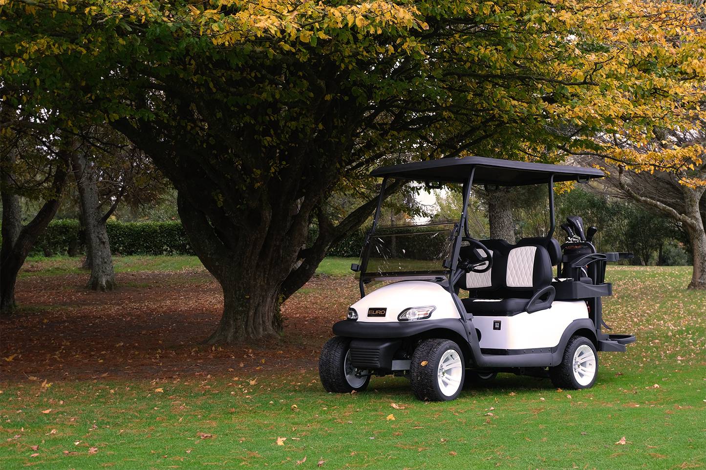 EuroCarts Premium Series Golf Cart Front on Golf Course