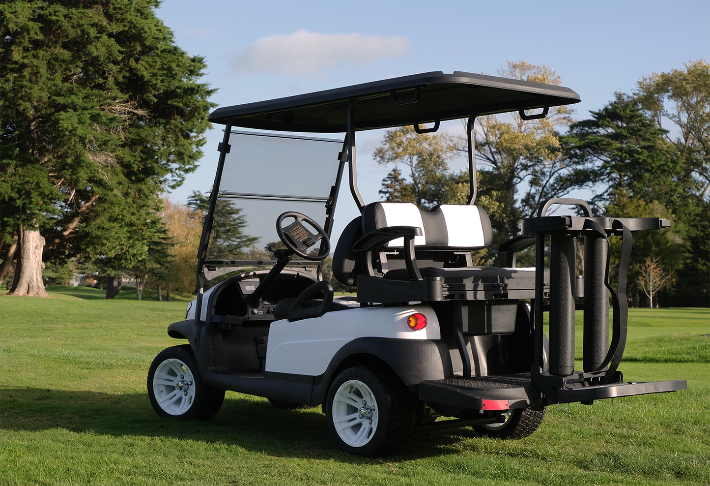 EuroCarts Premium Series Golf Cart Rear on Golf Course
