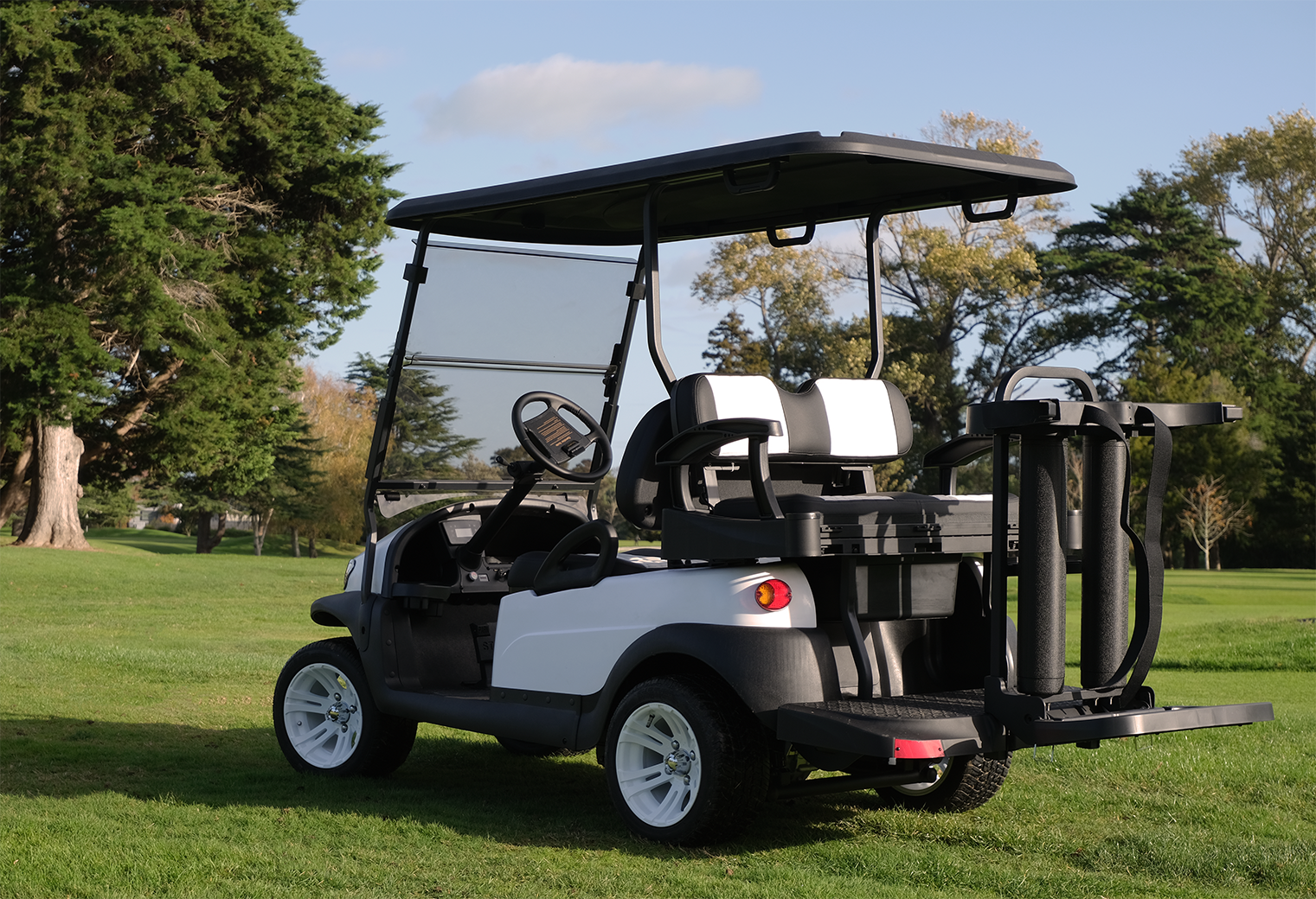 EuroCarts Premium Series Golf Cart Rear on Golf Course