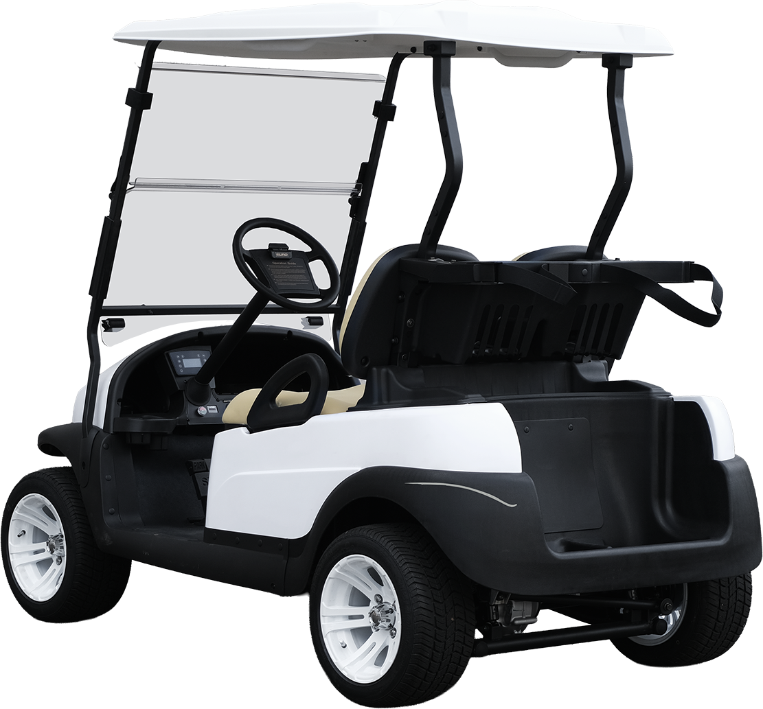 EuroCarts Standard Series Golf Cart Rear