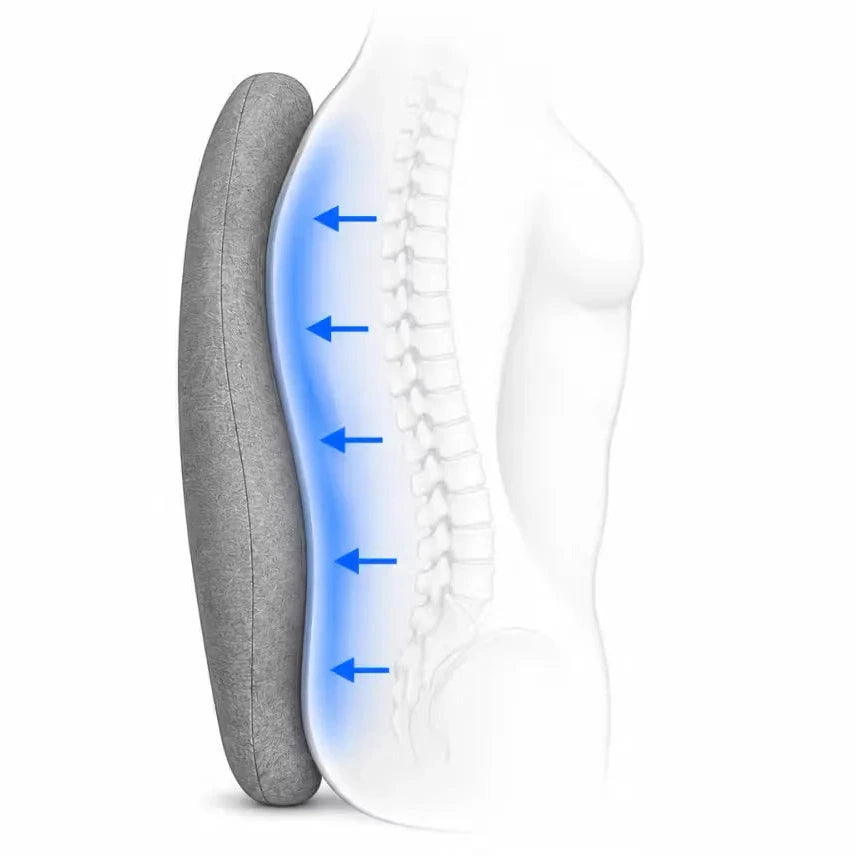 A gray icare Reform Full Back Support cushion shown beside a white side-view illustration of a female torso and spine, with blue arrows pressing the spine into the pillow to demonstrate back support.