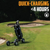 Cruiser VL2000 Golf Cart