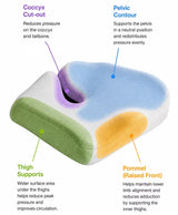An explanatory product diagram of a contoured icare Reform Seat Support on a white background, with colored callout regions and text labels explaining pressure relief zones such as Coccyx Cut-out, Pelvic Contour, Thigh Supports, and Pommel (Raised Front).