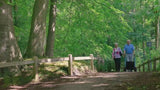 Rollz Motion 2-in-1 Walker Wheelchair Promo Video